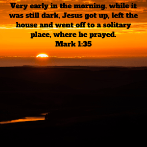 12E3F891-CD02-4C11-8B48-ECF70C41E69A